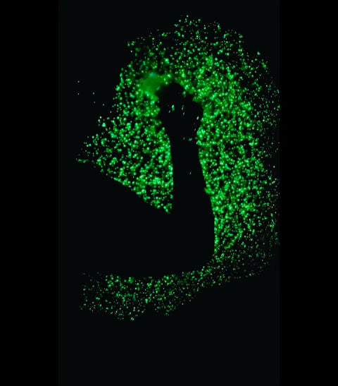 * 1/4 lb Lumi Glow Sparkles