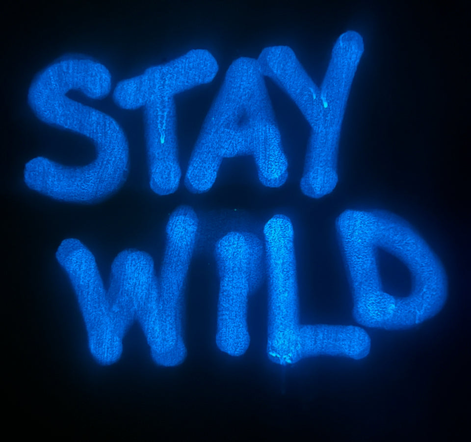 UV Light Kit: The Ultimate Tools for UV Interactive Wildglō Walls and Plaster