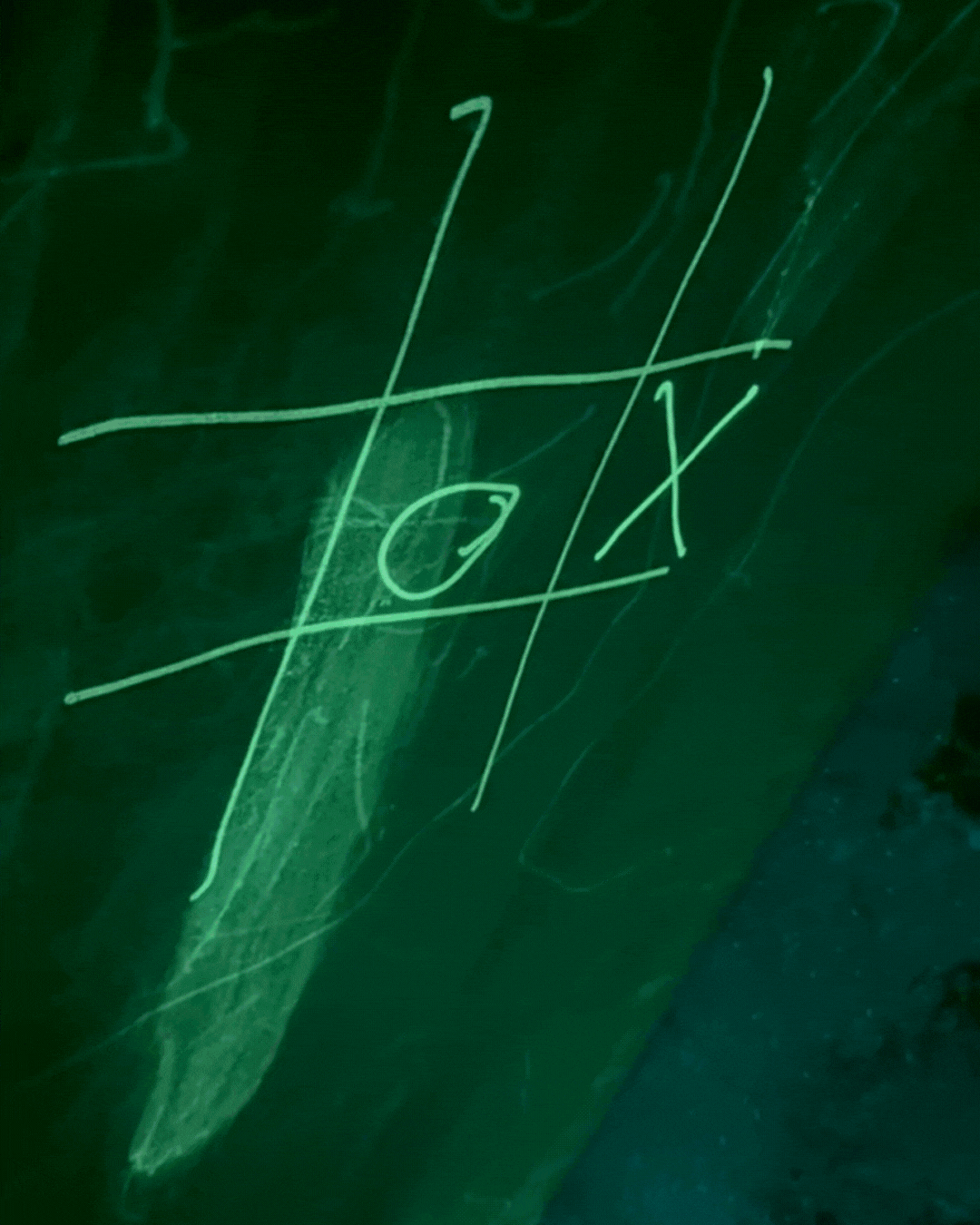 Alt Image